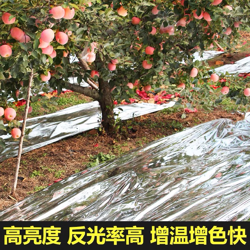 牡丹江市果树反光膜果树反光膜 - 哪里好